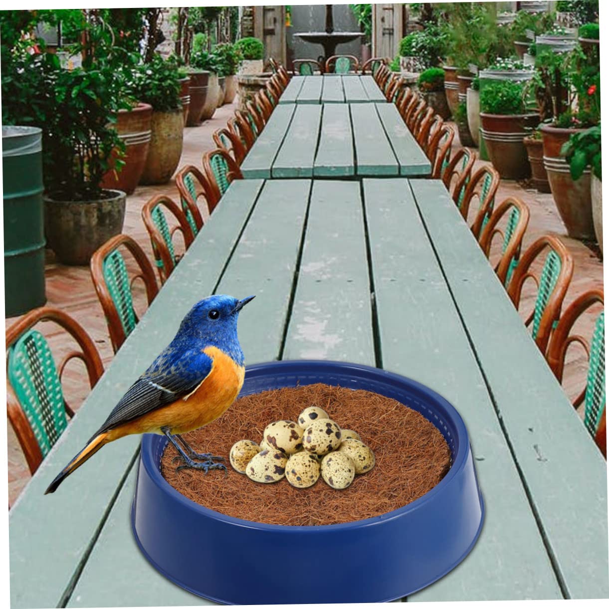 Toddmomy Nido Compatto per Piccioni in Plastica Blu Riutilizzabile e Resistente per Negozio di Uccelli e Davanzale, Accessorio Casa Utile per Nidificazione Sicura