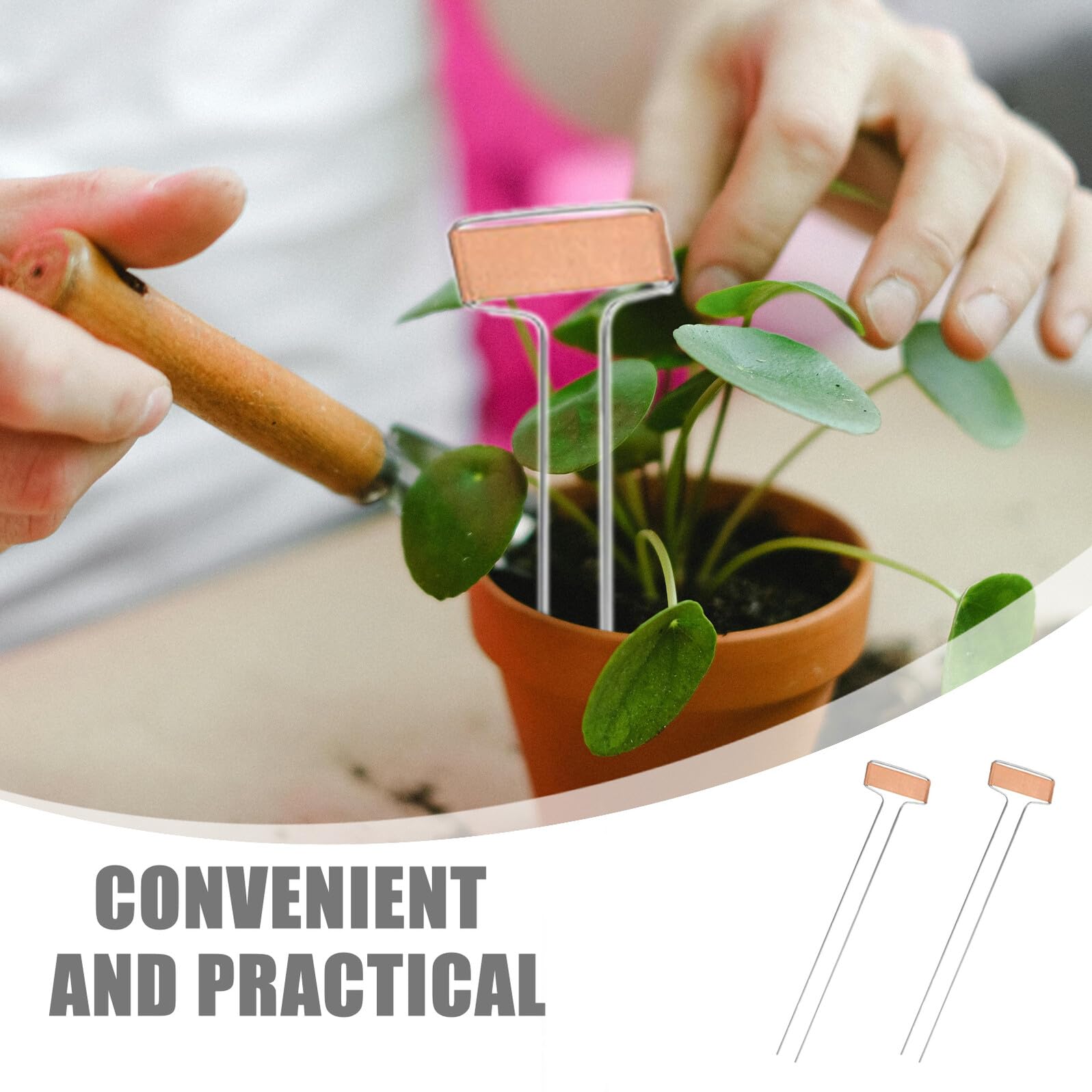 25 Stück Pflanzenidentifikationsetiketten Gartenmarkierungen für Pflanzen Etiketten für Gartenpflanzen Metall -Boden -Tag Gemüsegartenmarkierungen Silver