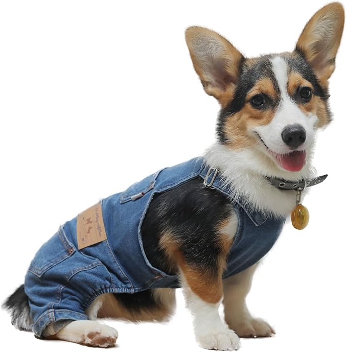Overalls de mezclilla para perro, disfraz de jeans para perros pequeños y medianos miniatura 4