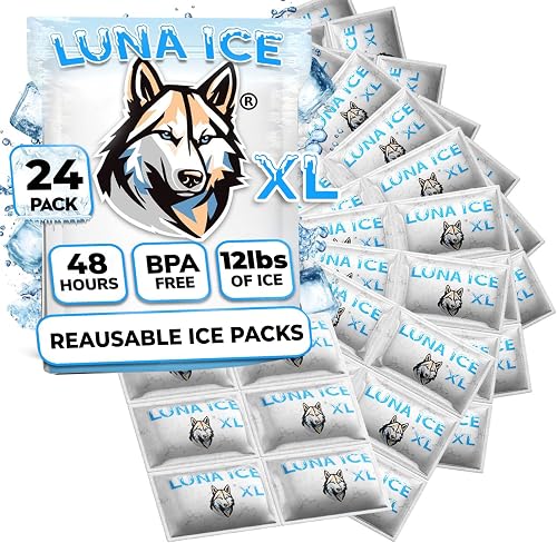 Dry Ice Packs for Shipping XL - Disposable ice Packs - 48+ Hour Freeze Power - BPA Free - 24 Pack Bulk 12 lb – Long Lasting Reusable Hielo Seco
