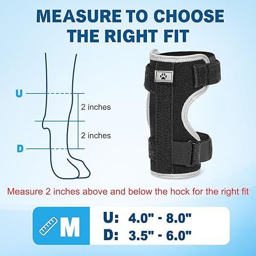 Miniatura 5 de Soporte de pierna delantera para perro férula ajustable para tobillo, pierna delantera, tobillo, extremidad de poro, envoltura de esguince con