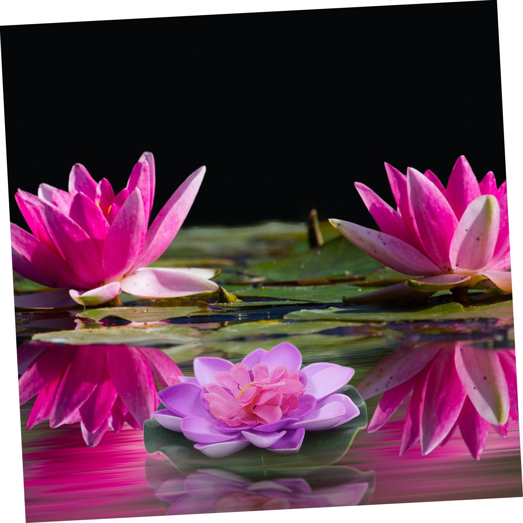 VALICLUD 4 pièces Fleurs de Lotus Artificielles Flottantes de Eva pour Bassins Aquariums et Décoration Naturelle Sécurisée pour Poissons Rouges Violettes Roses et Blanches