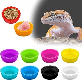 12Pcs Crested Gecko Food and Water Feeding Cups, Crested Gecko Food Dish, Geckoo Foodd Cups, Crestedd Geckos Tank Accessories for Tortoise, Small Pet and Crab