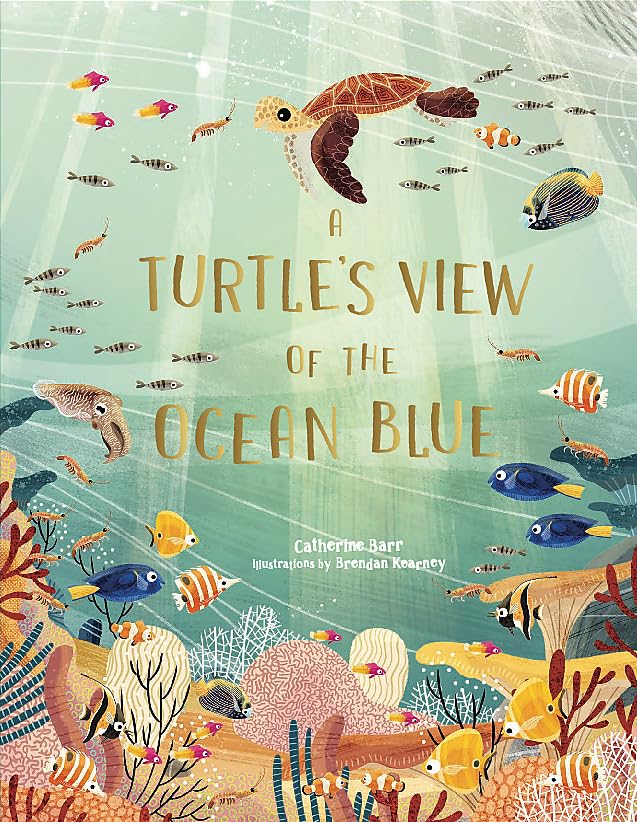 A Turtle's View of the Ocean Blue
