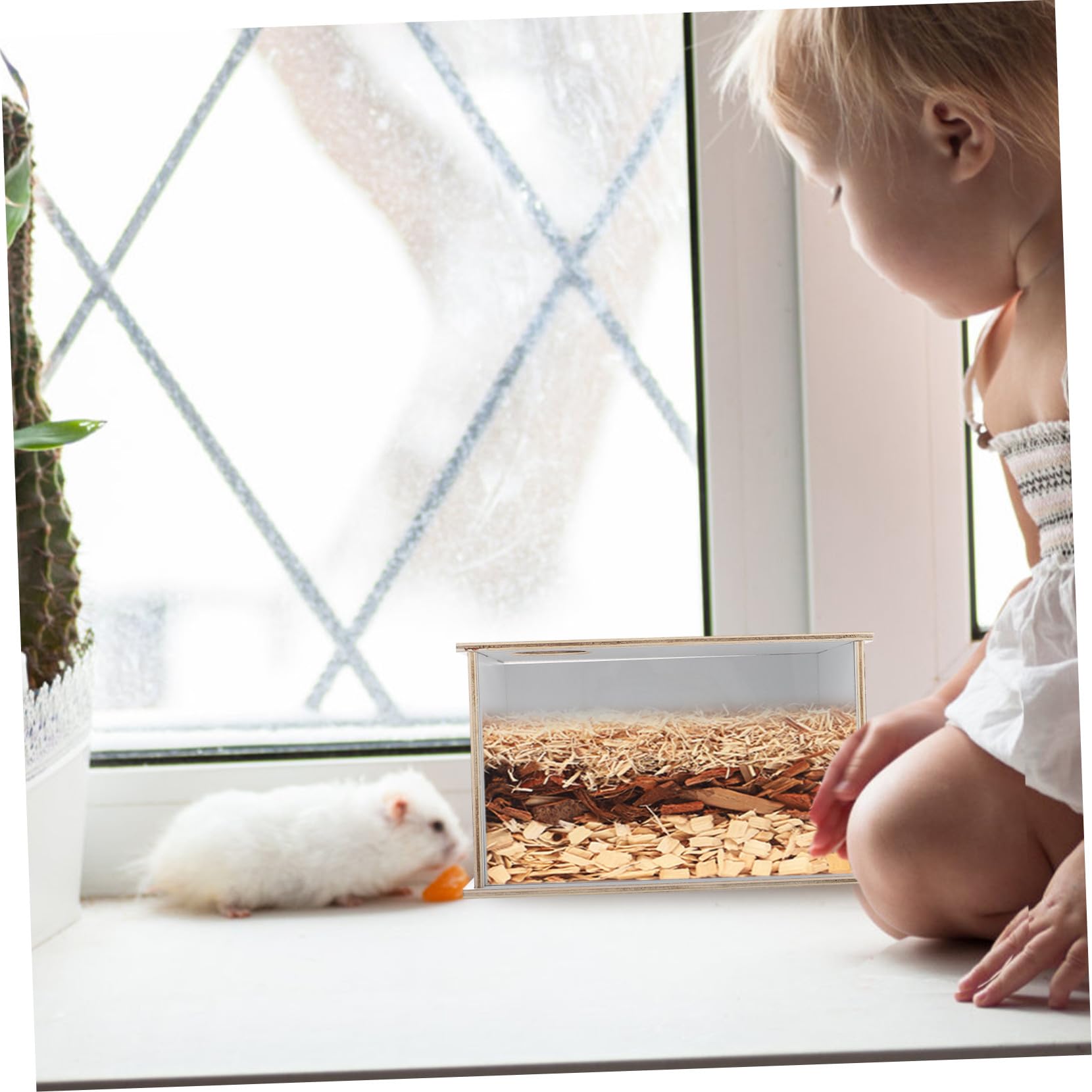Hamsterbadewanne Sicher und Praktisch Multifunktions aus Acryl und Holz Dekorative Weiße Sandbadebox für Meerschweinchen und Kleintiere im Haushalt