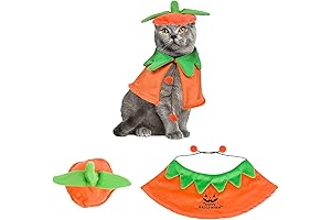 ADORABLE HALLOWEEN CAT COSTUME: Pumpkin Cloaked Feline