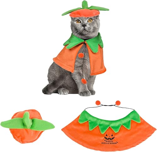 Miniatura 1 de ADOGGYGO Disfraz de Halloween de gato, disfraz de bruja de gato morado, capa de gato, disfraz de sombrero de bruja para gatos y gatitos (bruja-2)