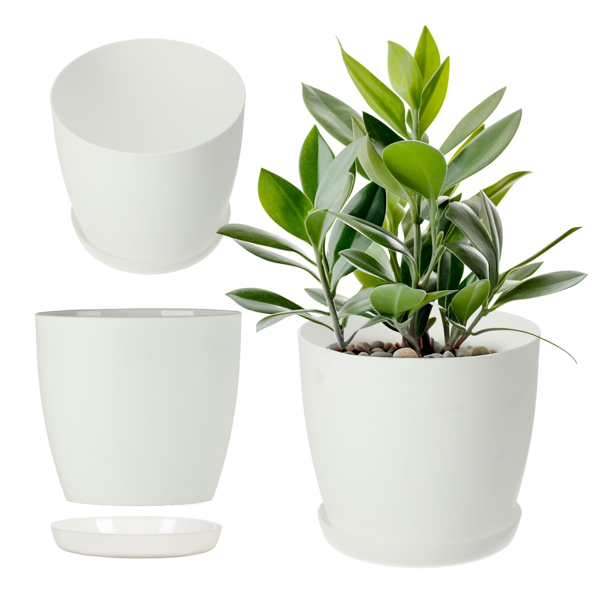 KADAX Maceta con Plato y Plato para Cactus, helechos (30 cm, Rosa) — view 14