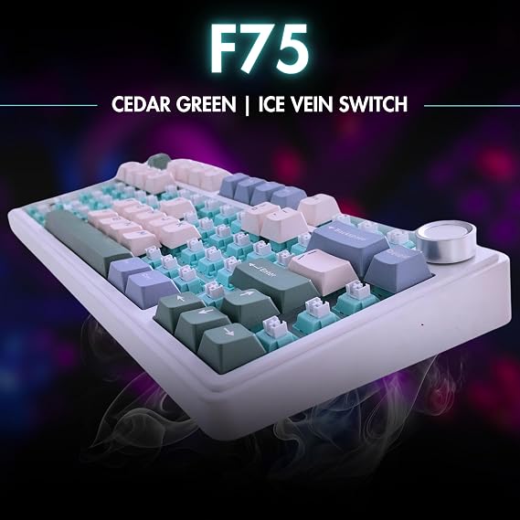 Aula F75 Mekanik RGB TKL Ice Vein Switch Kablosuz Makrolu Hot Swap Klavye Pastel