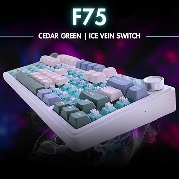 Aula F75 Mekanik RGB TKL Ice Vein Switch Kablosuz Makrolu Hot Swap Klavye Pastel