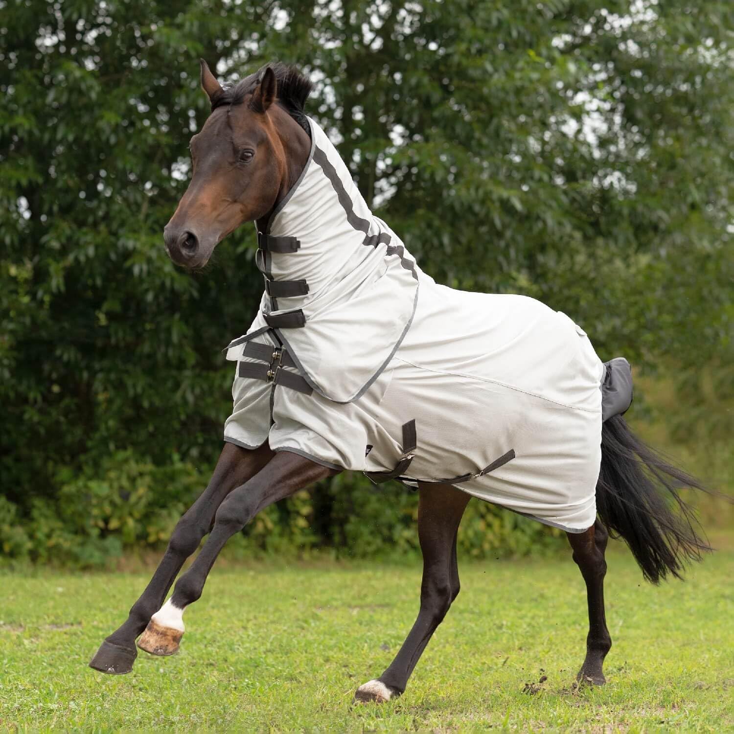 Couverture anti-mouches BUSSE au pré pour poney argent 105cm