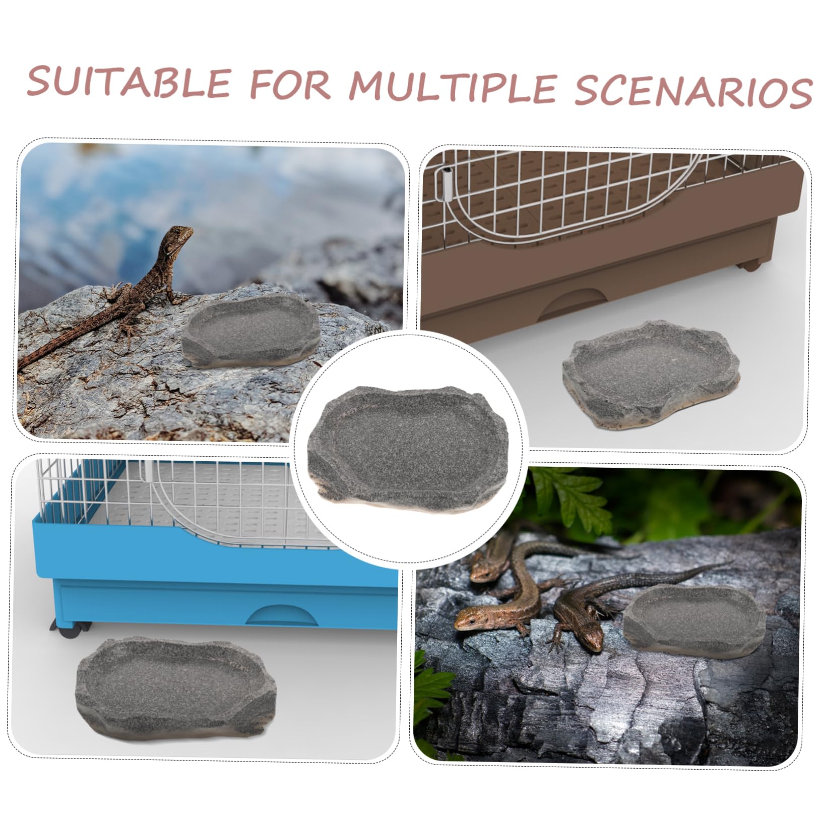 Yardwe 5 Uds Cuenco para Mascotas Cuenco De Agua para Reptiles Plato De Agua para Tortuga Plato para Gusanos De Reptil Cuenco De Alimentación para Terrario Plato De Alimentación
