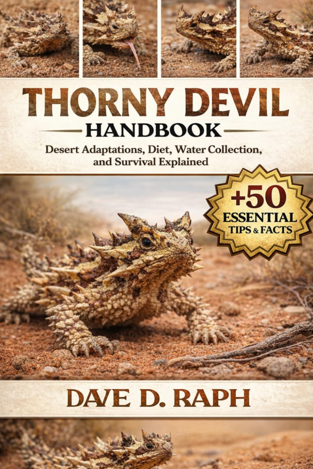 Thorny Devil Handbook: Desert Adaptations, Diet, Water Collection, and Survival Explained