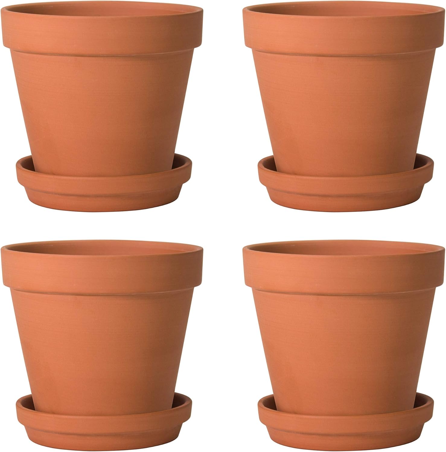 D'vine Dev Terracotta Pots Set, 6-Inch Terra Cotta Pots with Saucers & Tray, Ideal for Plants & Succulents