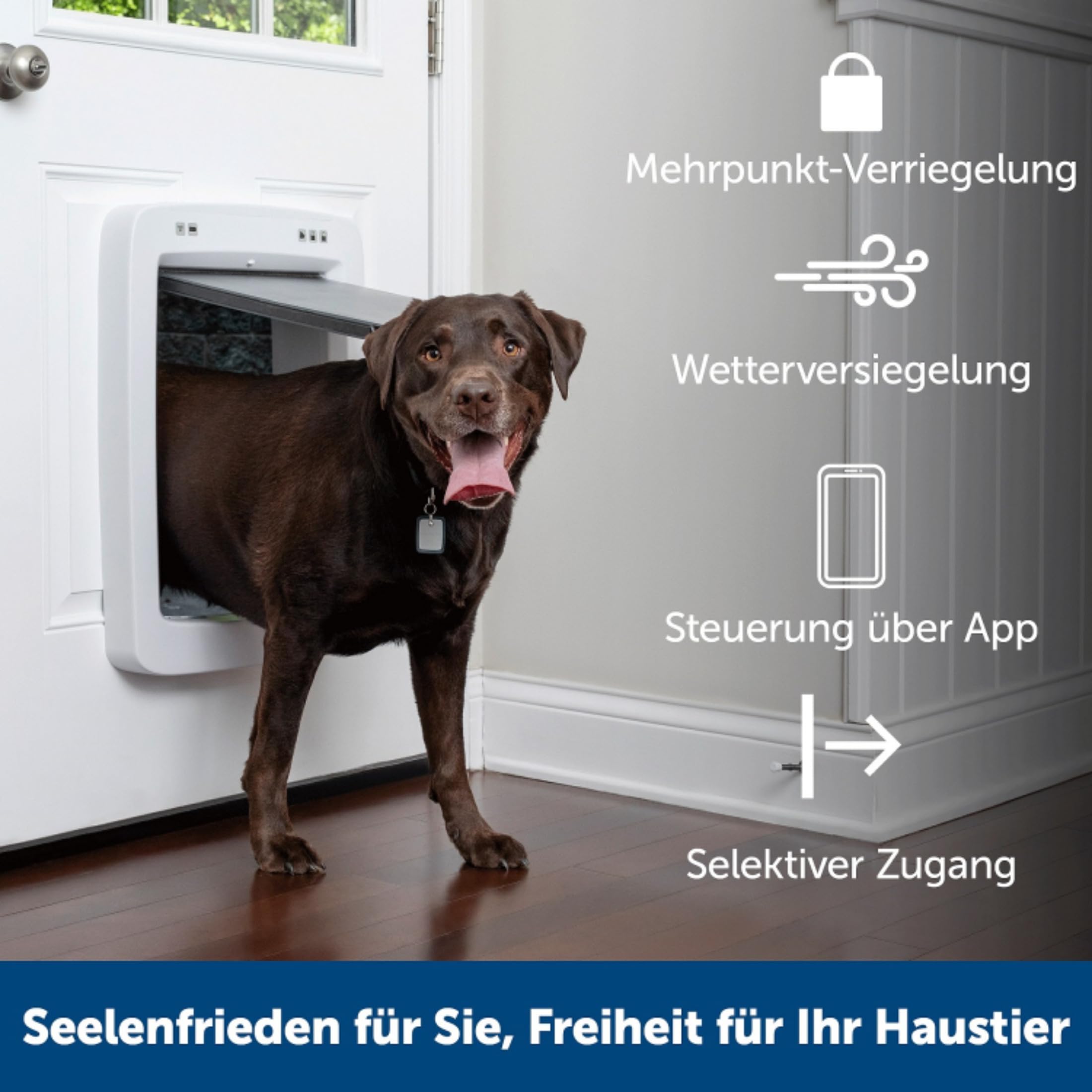 PetSafe SmartDoor Intelligente Haustiertür - App-gesteuert, Selektiver Zugang, Energieeffizient - Groß