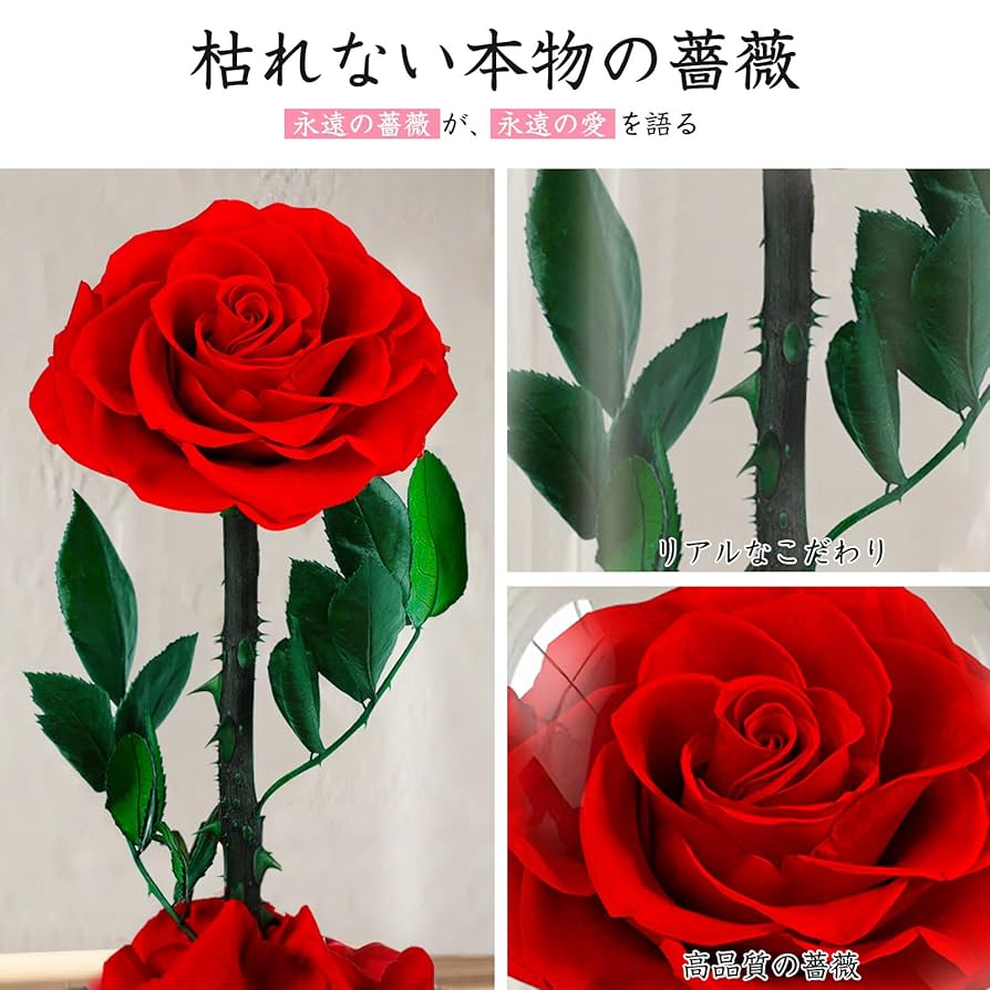 Amazon｜プリザーブドフラワー 赤い 1本 枯れない本物の薔薇