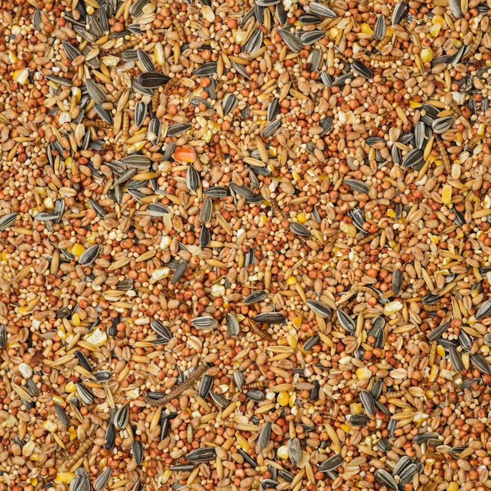 Mangime Per Uccelli Selvatici Senza Guscio 25 Kg - Con Semi Di Girasole E Arachidi, Per Tutto L'Anno