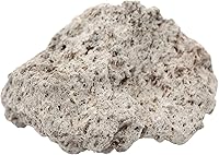 Vista 1 de EISCO Piedra pómez cruda, espécimen de roca ígnea - aprox. 1 pulgada - Geólogo seleccionado y procesado a mano - Ideal para aulas de ciencias