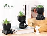 Der Rose 3Pcs Fake Plants Small Artificial Succulent, Cute Faux Plants for Home Bathroom Living Room Office Desk Shelf Black Decor Indoor
