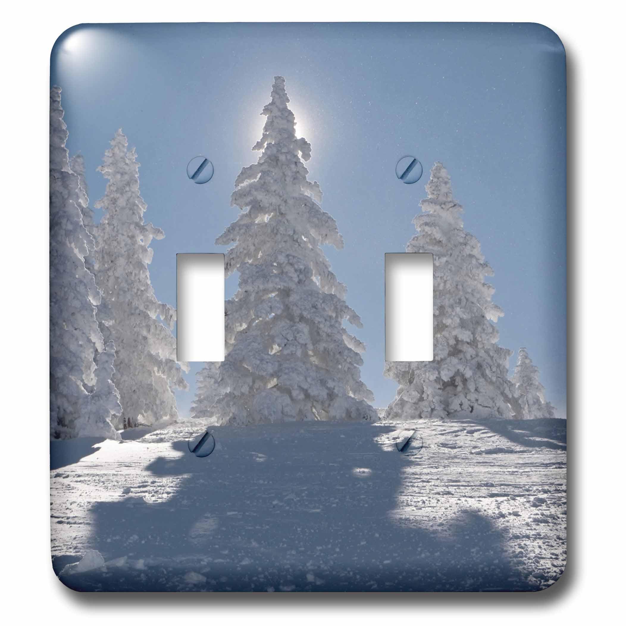 Interrupteur double décoratif motif neige Santa Fe US32 LKL0109