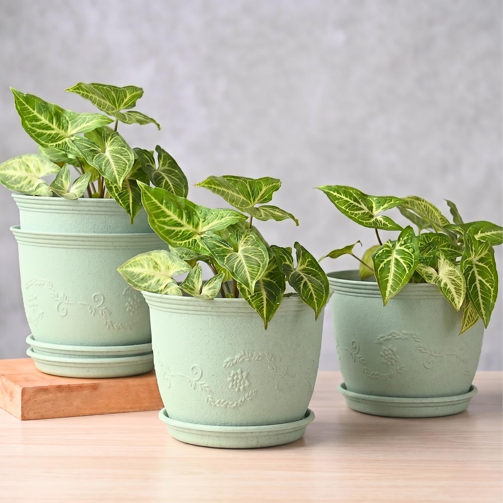 Eha Earth Friendly 8" Leafy Planter with Tray Made with Rice Husk, 4 Units | UV Protected Plant Pots | Flower Pots for Garden, Indoor, Home Decor, Outdoor & Balcony