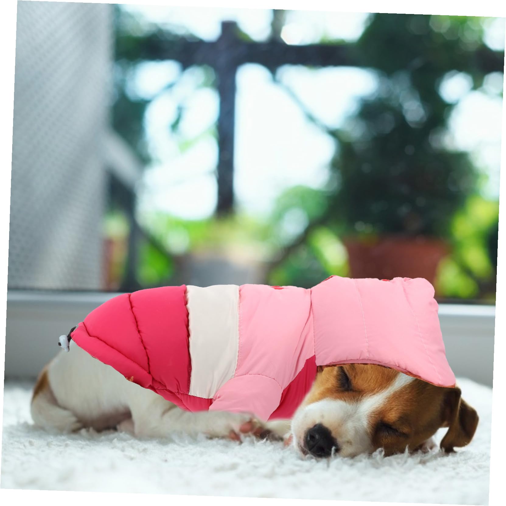 Manteau et Confortable Coton Chaud, D’Hiver pour Chien