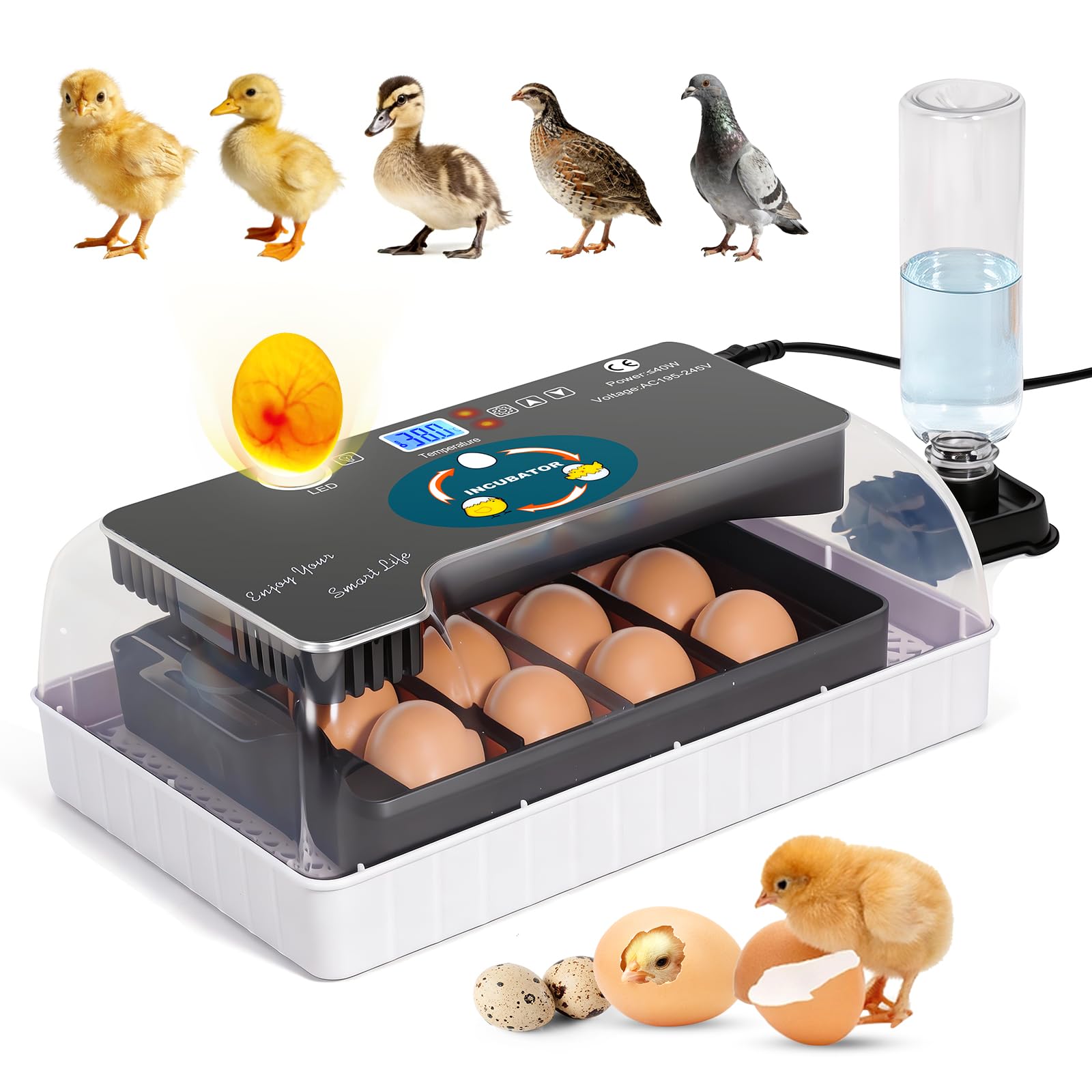 Couveuse Oeuf Automatique, 12 Couveuses Avec ContrôLe Intelligent Et PréCis de la TempéRature et de L'Humidité, éClairage Led Efficace, Incubateur Tortue, Adapté Aux Poules, Oies, Canards, Pigeons