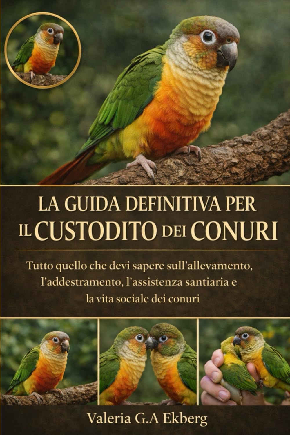LA GUIDA DEFINITIVA PER IL CUSTODITO DEI CONURI: Tutto quello che devi sapere sull'allevamento, l'addestramento, l'assistenza sanitaria e la vita sociale dei conuri (Italian Edition)