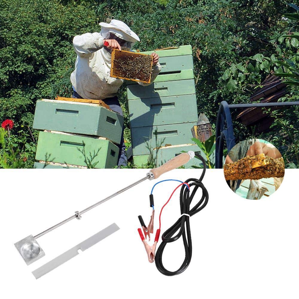 Vaporisateur Électrique 12V Acide Oxalique - Traitement Varroa Apiculture Professionnel