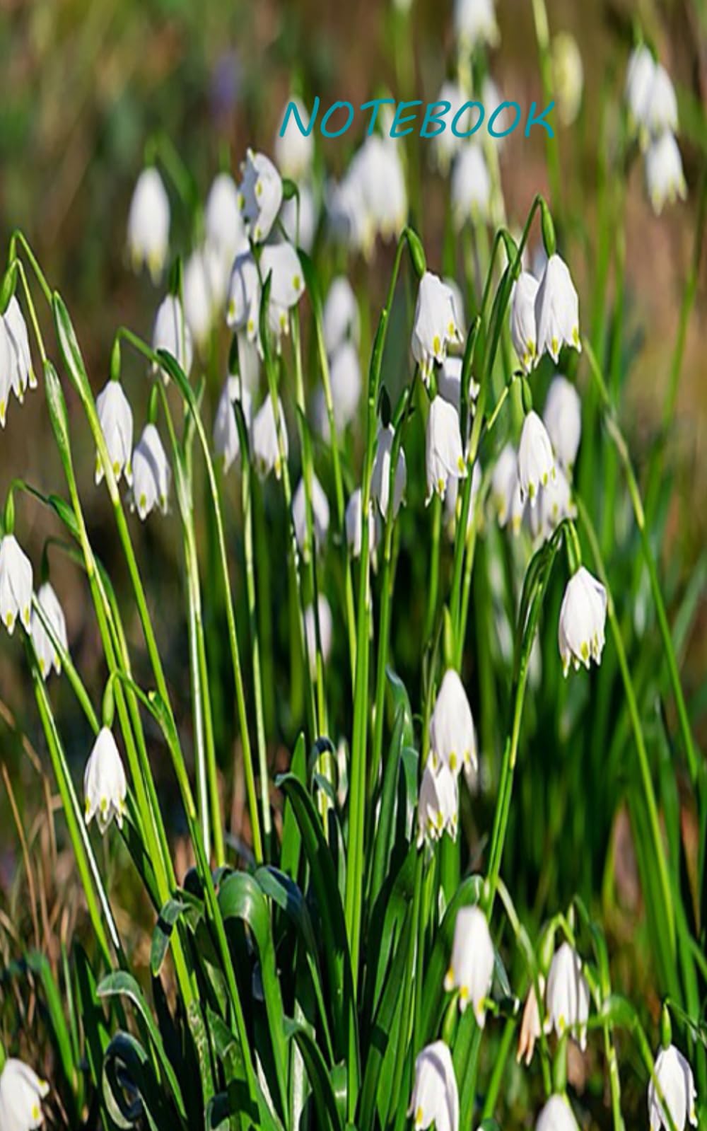 Notebook 5x8 Inch 100 Pages