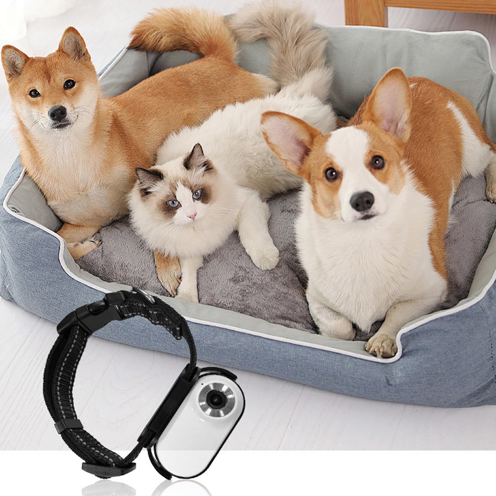 Luocute Cámara con Collar para Mascotas, Mini Cámara de Acción con Lente de 120 Grados con Conexión OTG, Grabación de Video, Cámara Deportiva Magnética Ajustable para Gatos para (White)
