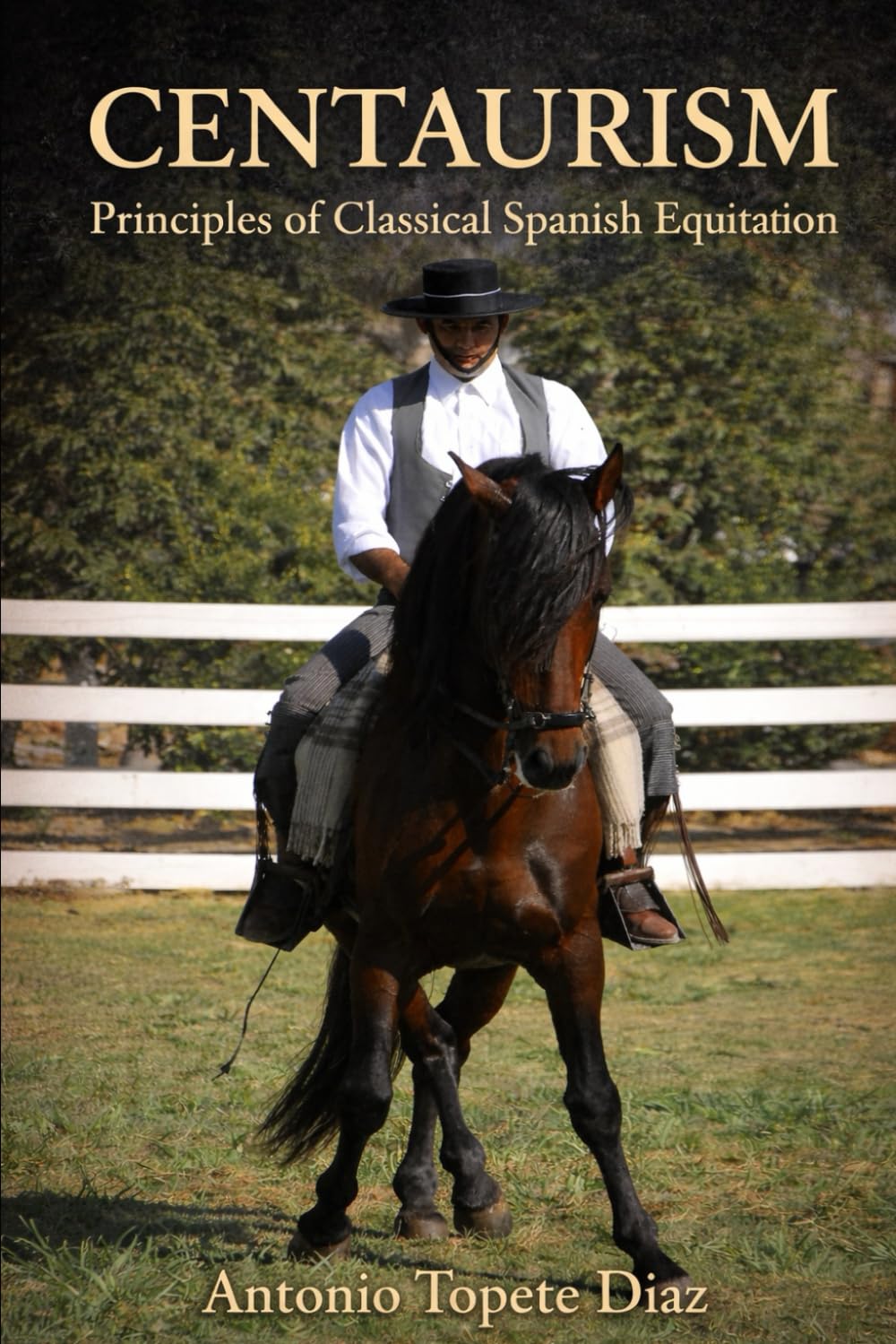 Centaurism: Principles of Classical Spanish Equitation: 1 (Centaurism - Classical Spanish Equitation)