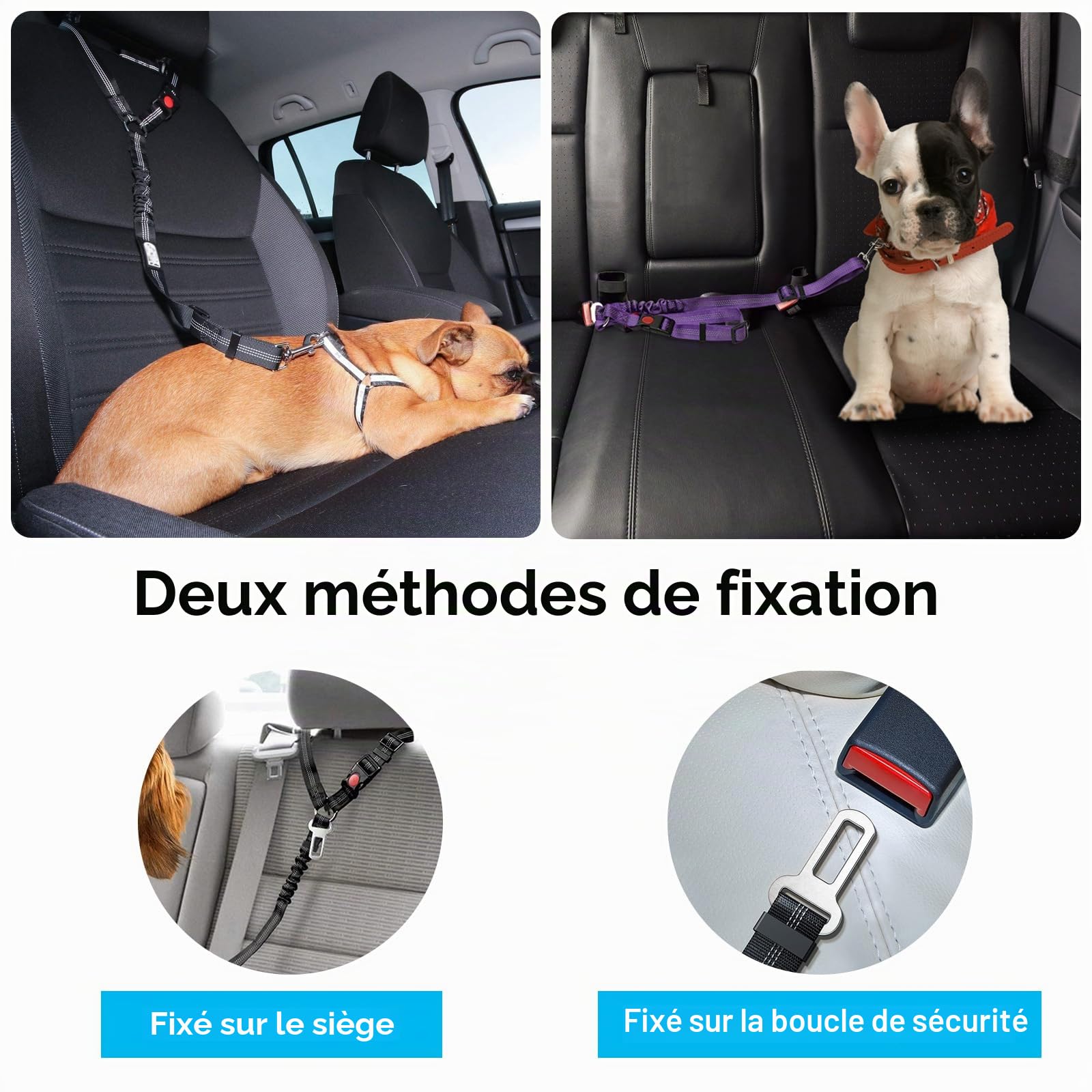 2 pièces réglable Ceinture securite Chien Voiture, Coussin élastique Anti-Vibration Ceinture sécurité Chien Convient aux Voitures (Noir + Rose)