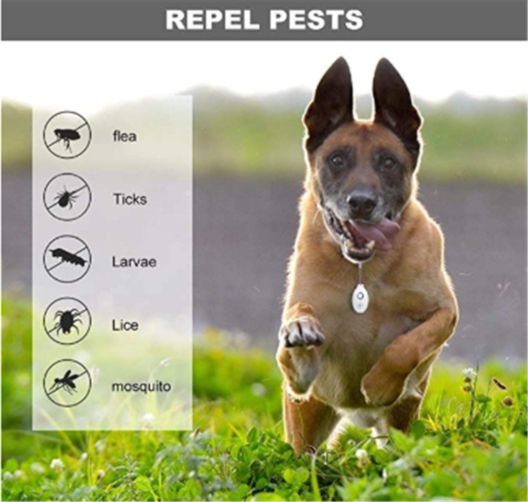 2 repelentes de plagas ultrasónicos electrónicos, repelente de insectos para cucarachas, mosquitos, arañas, casas, jardines, viajes al aire libre