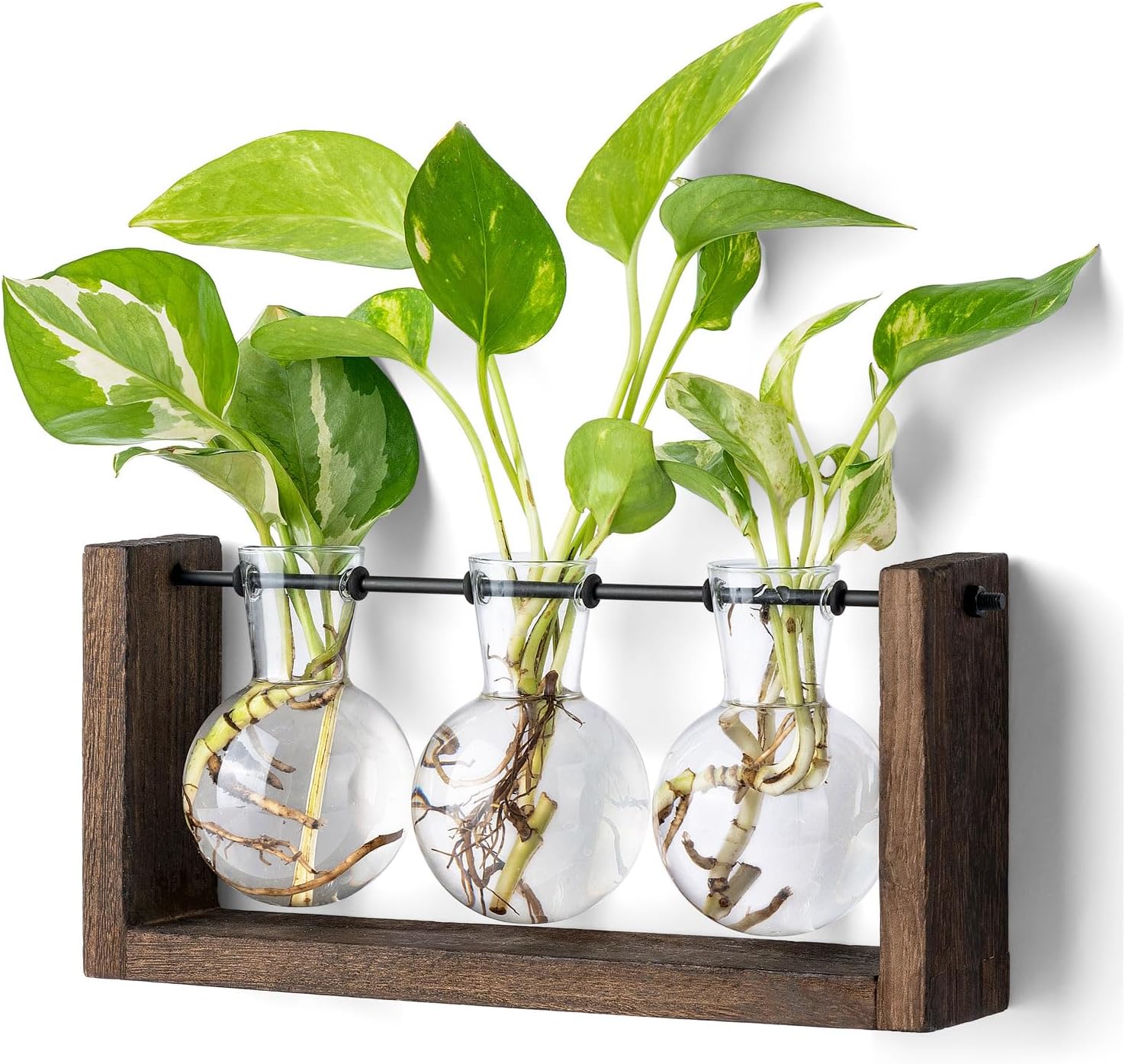 Plant Propagation Station