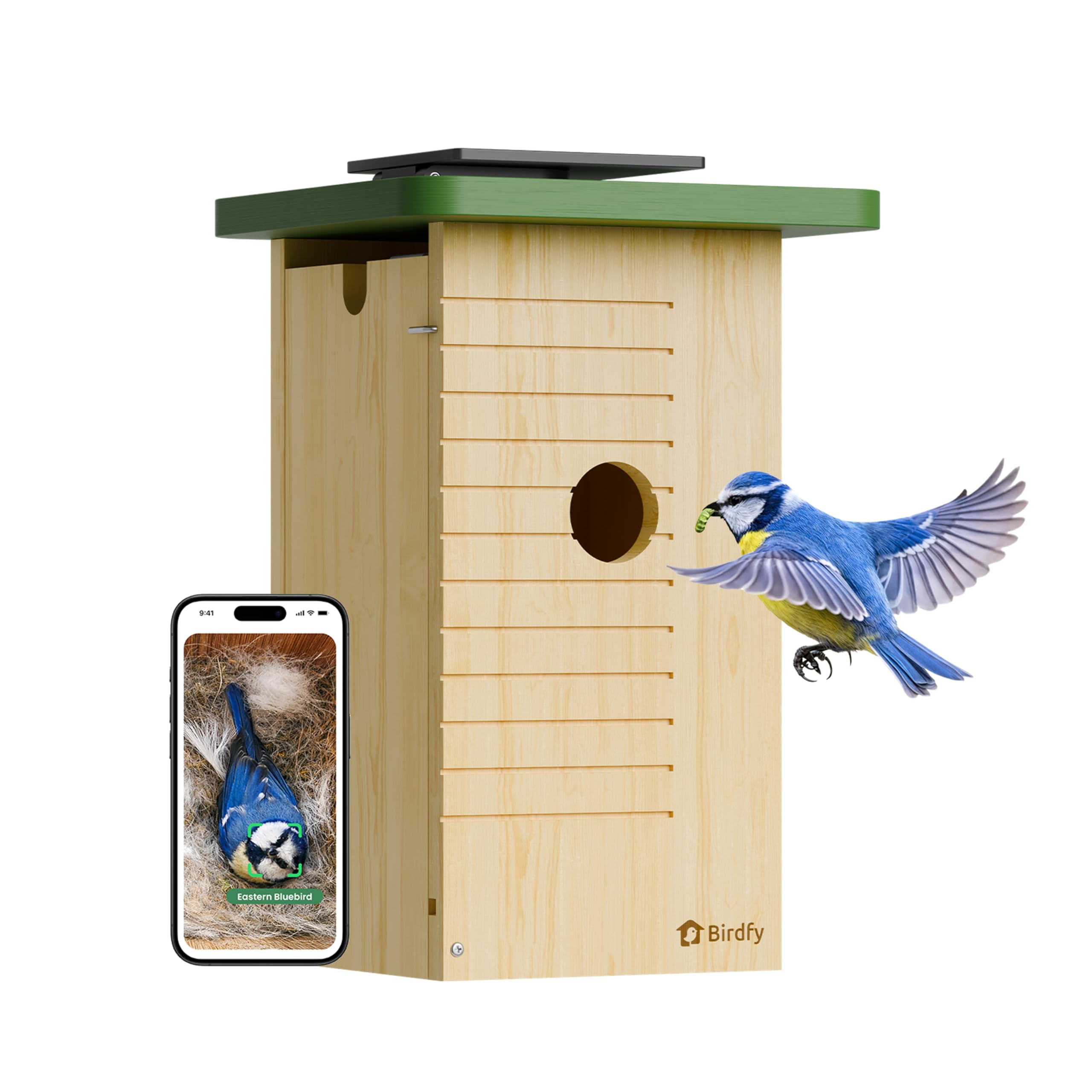 Birdfy Pajarera con cámara, nido con cámara, cámara de 2 millones de píxeles, para exteriores, observación en tiempo real de la construcción de nidos y cría de aves, detección de comportamiento de