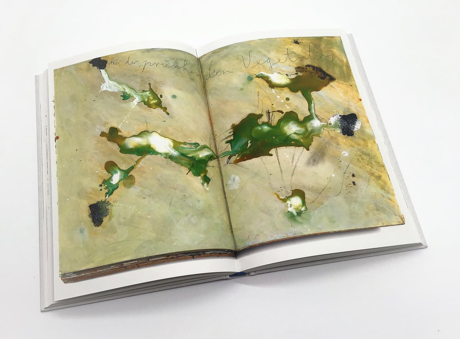 Unter einem Zuckerhimmel: Balladen und Gedichte. Illustriert von Anselm Kiefer