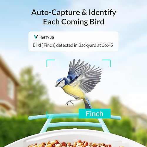 Miniatura 3 de NETVUE Birdfy AI - Comedero para pájaros con cámara, cámara inteligente para observación de aves captura automática videos de aves y notifica cuando