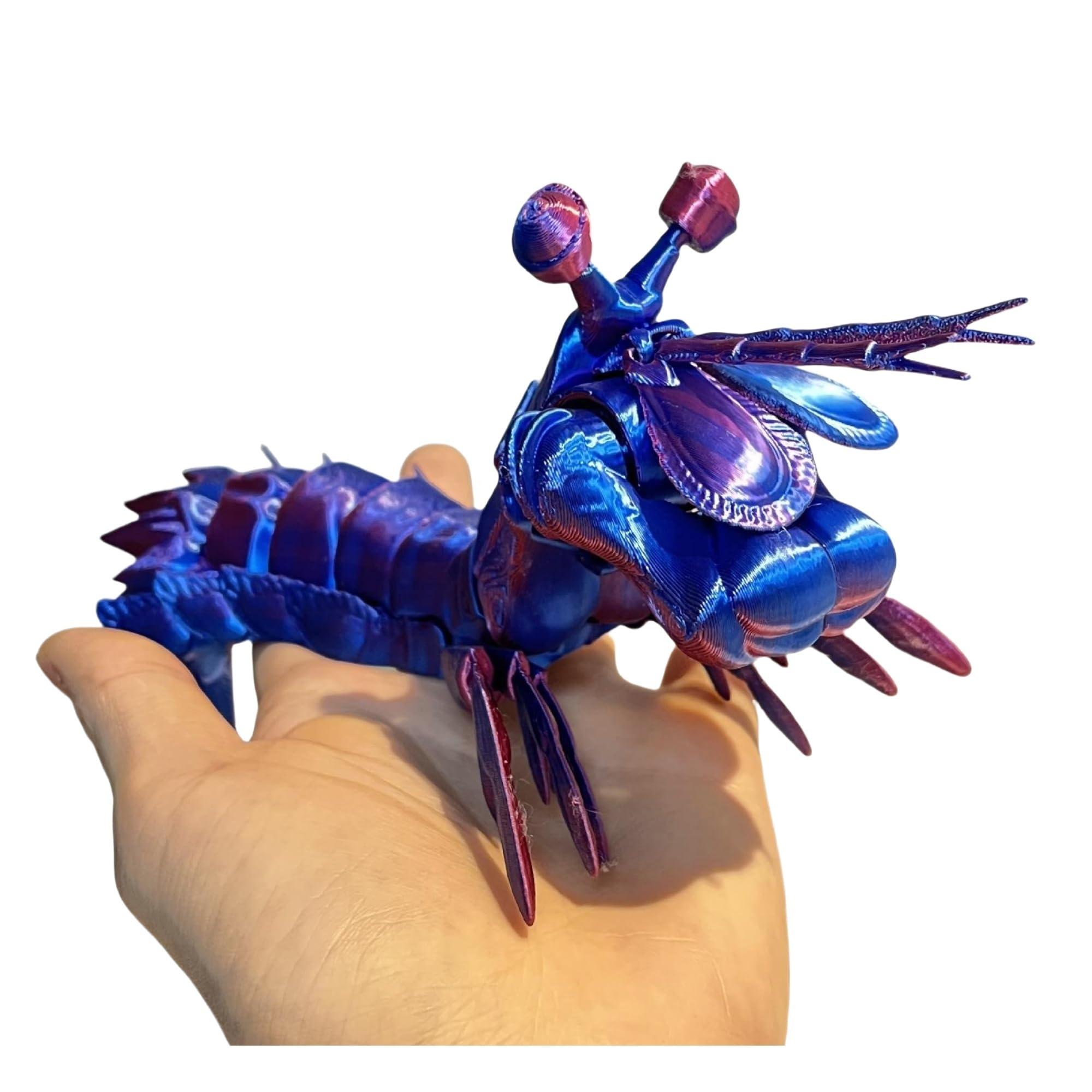 3D Modliszka Krewetka Fidget Zabawka, Wonder Creature Dekoracja Domowego Biura