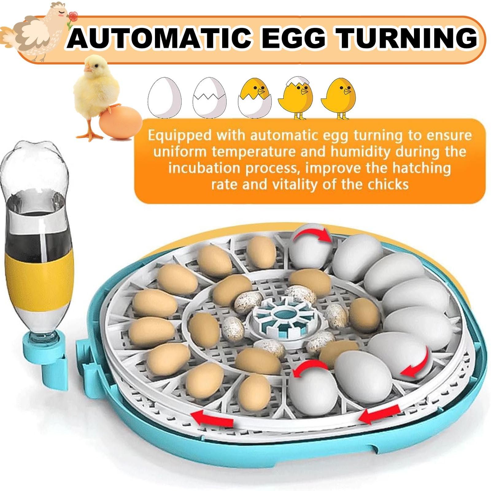 Incubadora Huevos Gallina - Incubadora AutomáTica De 22huevos Controles AutomáTicos De Temperatura Y Humedad HigróMetro Y Pantalla Led Digital, para Incubar Pollos, Codornices Y Patos