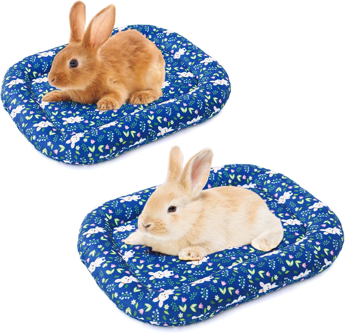 Amazon.com : 2 Pack 15.3x10.6x1.96in Dual-Sided Soft Small Pet Cushion ...