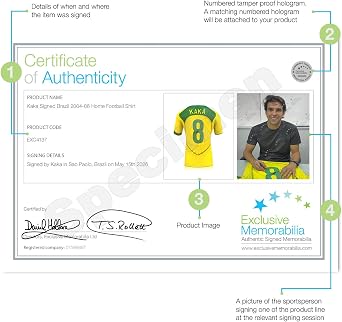 Kaka Signed Brazil 2004-06 Home Soccer Jersey. Superior Frame Yellow