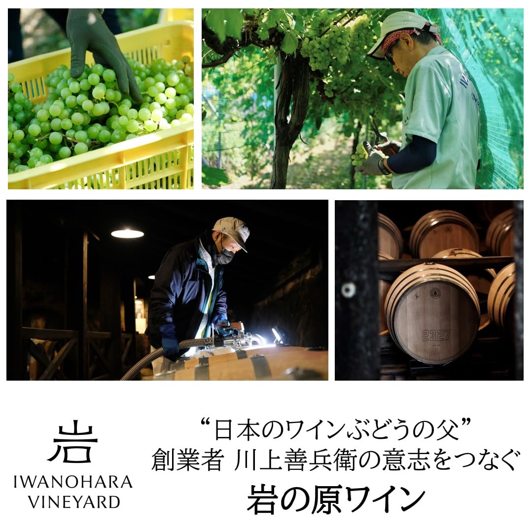 ★ミンクのハーフコート　とれも綺麗なワインレッド　★未使用・保管品です　 ミンク リバーシブル ハーフコート | FURSALON｜Online Shop
