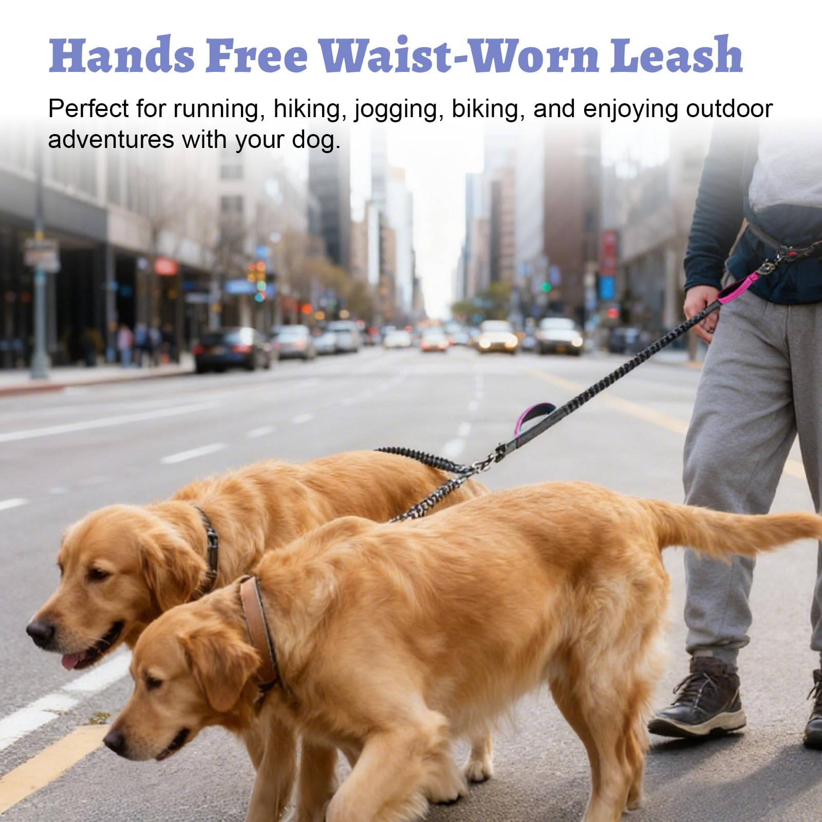 Hands Free Double Dog Leash for Two Dogs- No Tangle No Pull Dual Leash with Padded Adjustable Waist Belt & Reflective Stitching - Ideal for Running, Jogging, Hiking with Medium & Large Breeds - image 7