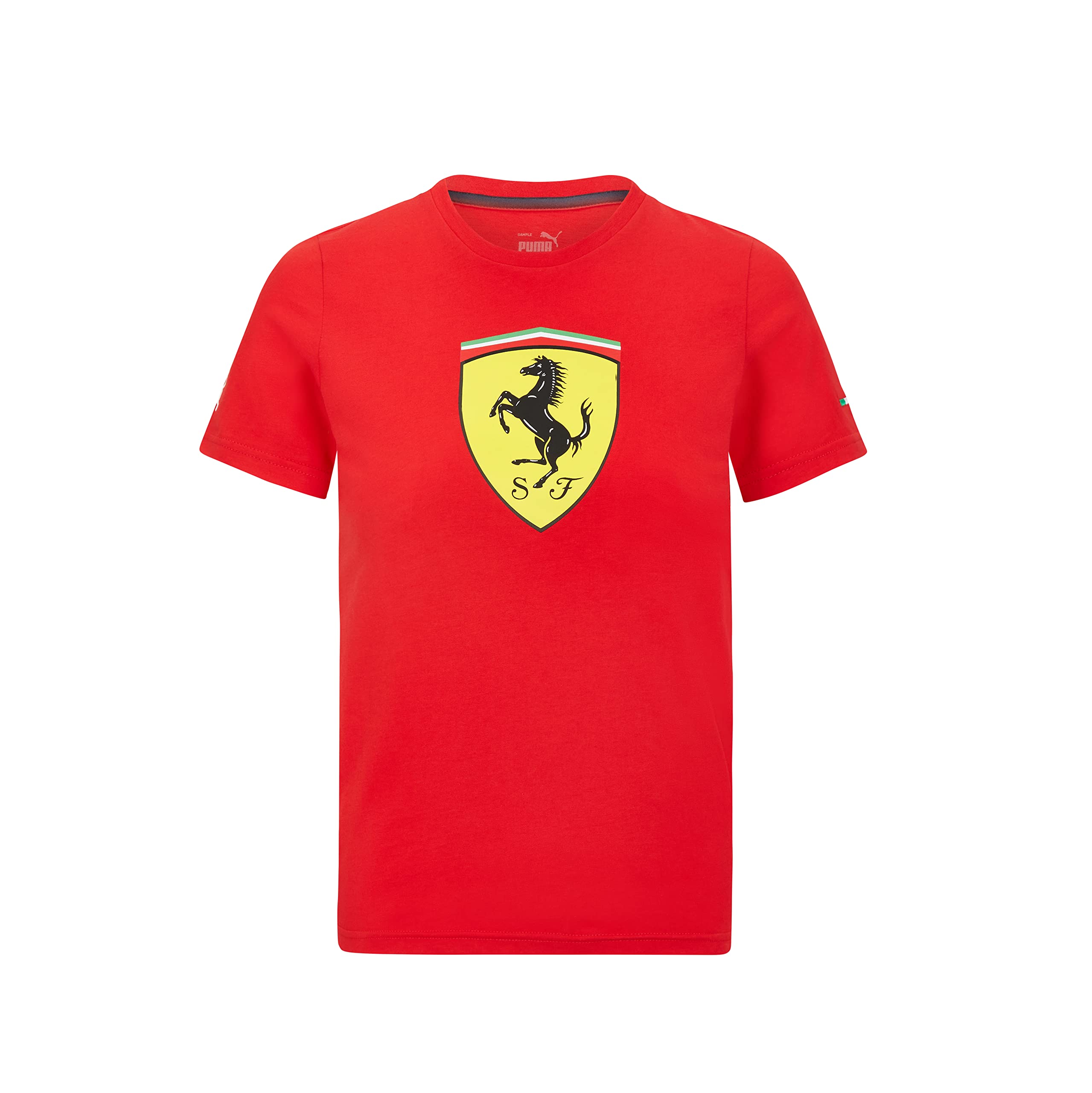 Formula 1 Men's POLO Scuderia Ferrari, Red, Extra Small