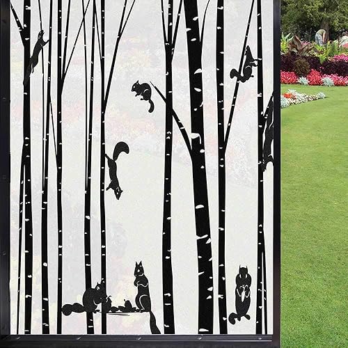 Miniatura 1 de Película de privacidad para ventana en blanco y negro, familia de ardillas en bosque de abedules, ardillas y vida silvestre en el bosque, película