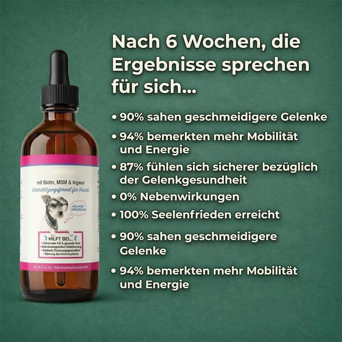 Premium Flüssiges Kollagen für Hunde – Gelenke, Haut & Fell – Mit MSM, Biotin & Ingwer – 100% natürliche Zutaten, hohe Bioverfügbarkeit