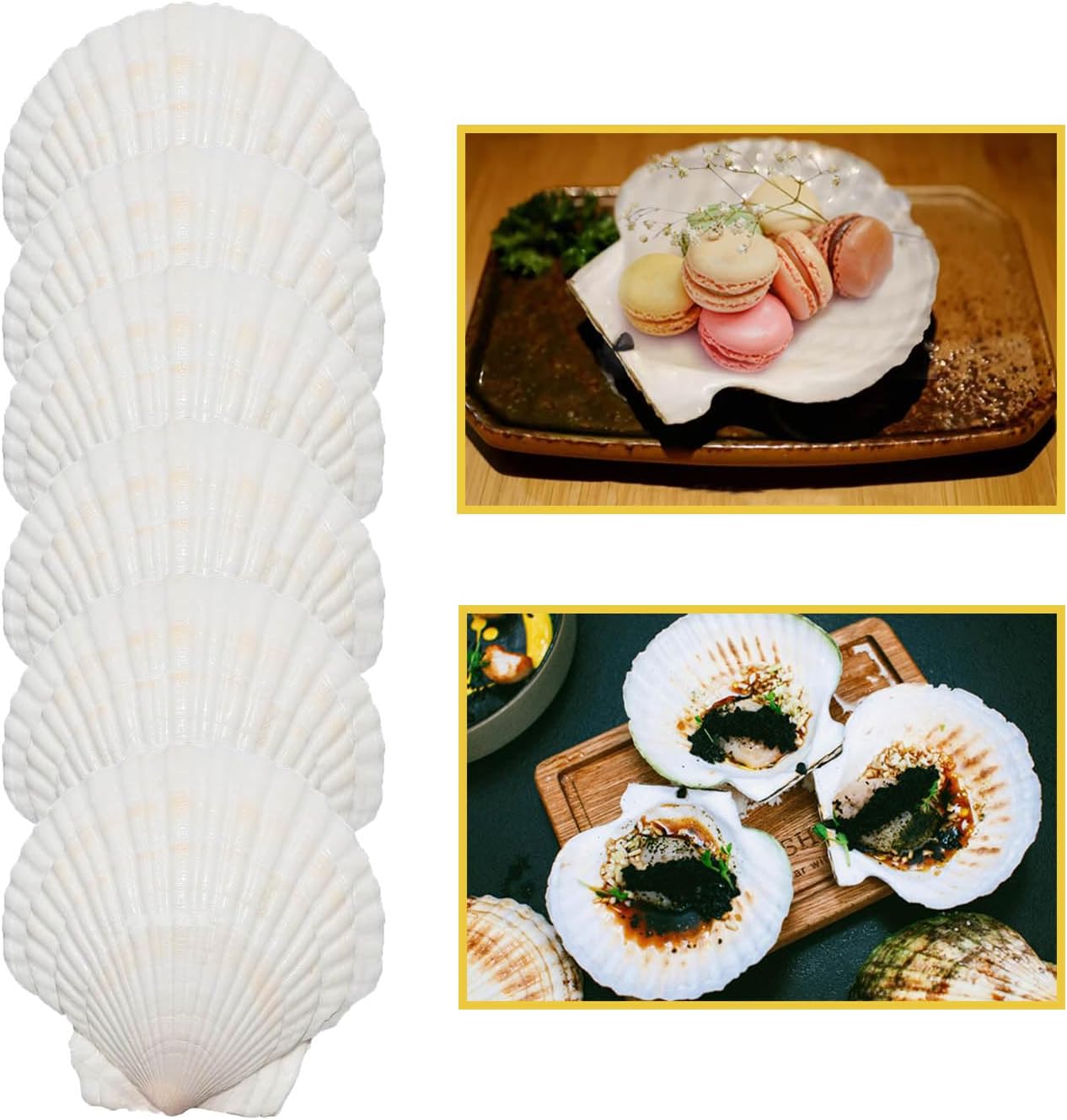 Amazon.com: DIY Natural Scallop Shells for Baking Set of 6PCS Large 4.5 ...