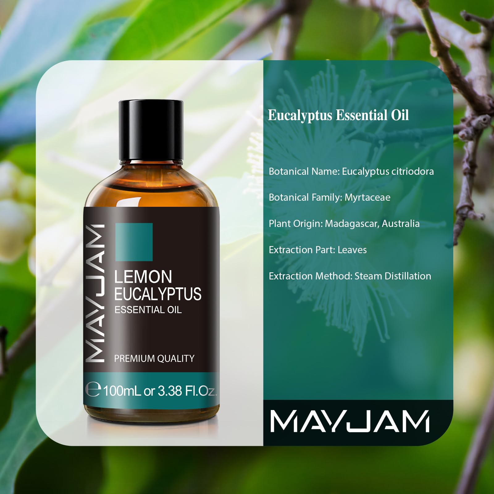 MAYJAM Aceite Esencial de Eucalipto Limón 100ML, Aceite de Eucalipto Limón para Difusor, Humidificador, Bricolaje, Hogar, Accesorios