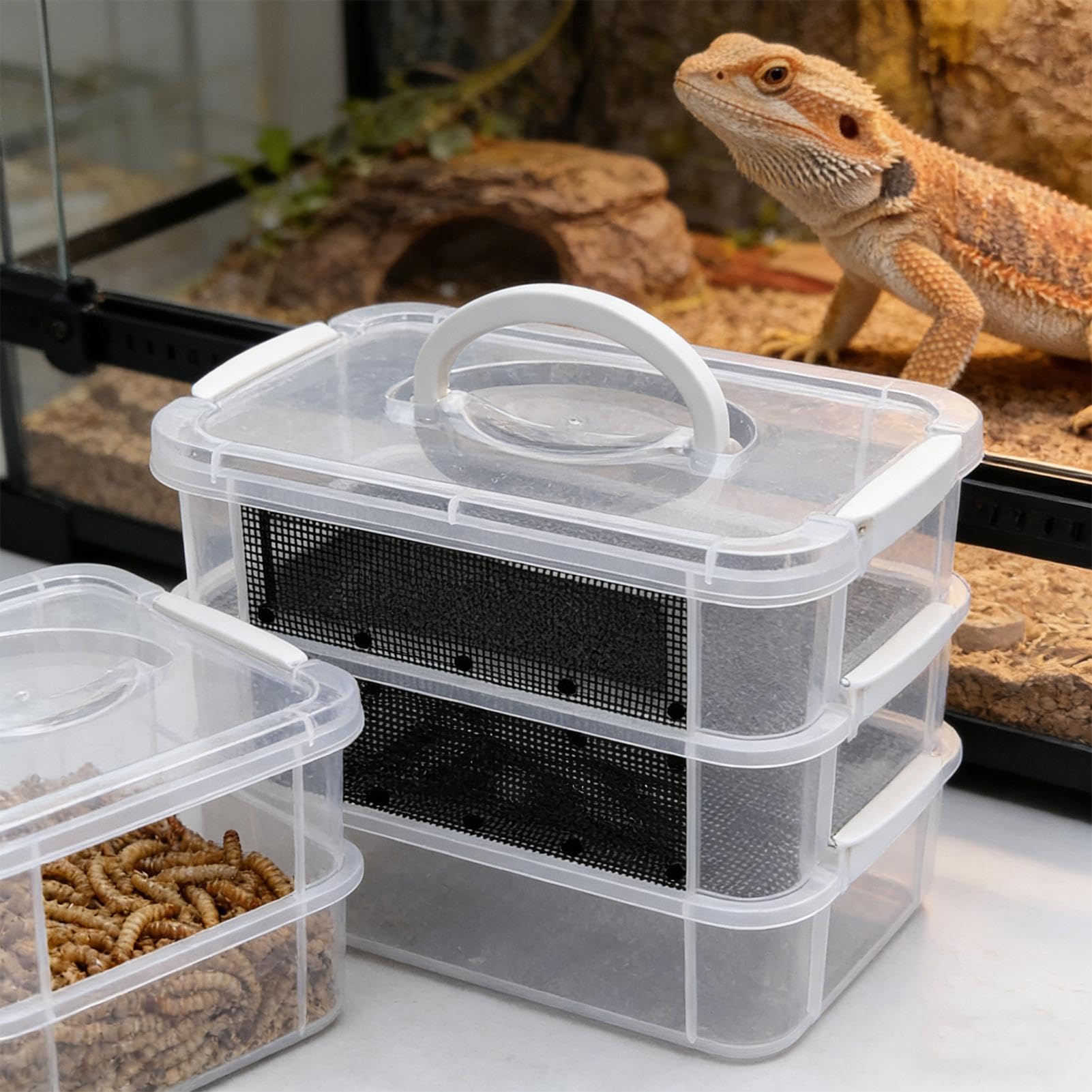 Kit Élevage Ver De Farine Vivant - Bac Nourrisseur À 2/3 Niveaux pour À Soie, Boîte Élevage Ver Farine, Conteneur d'alimentation pour De Farin pour Poules, Grenouilles, Lézards